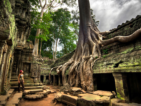 Ta Phrom Temples Of Angkor